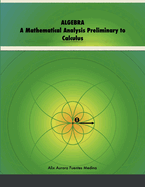 Algebra: A Mathematical Analysis Preliminary to Calculus