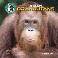 All about Asian Orangutans