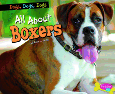 All about Boxers
