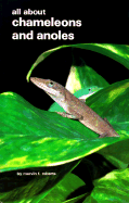 All about Chameleons & Anoles