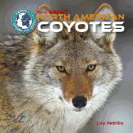All about North American Coyotes