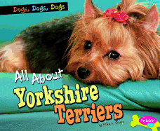 All about Yorkshire Terriers