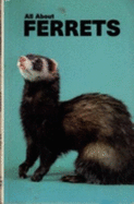 All Abt Ferrets