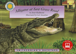 Alligator at Saw Grass Road
