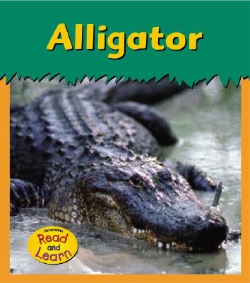 Alligator - Whitehouse, Patricia