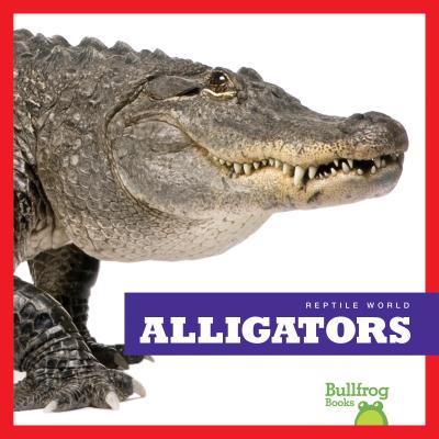 Alligators - Black, Vanessa