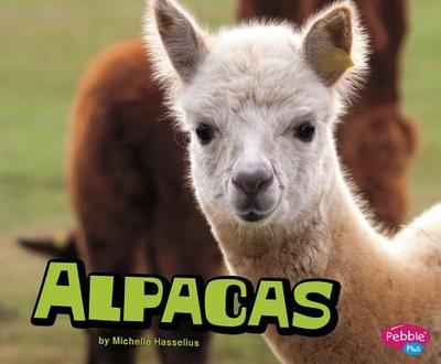 Alpacas - Hasselius, Michelle