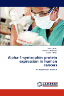 Alpha-1-Syntrophin Protein Expression in Human Cancers