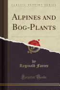 Alpines and Bog-Plants (Classic Reprint)