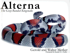 Alterna: The Gray-Banded Kingsnake - Merker, Gerold, and Merker, Walter, and Forks, Joseph E (Foreword by)