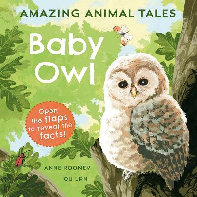 Amazing Animal Tales: Baby Owl - Rooney, Anne