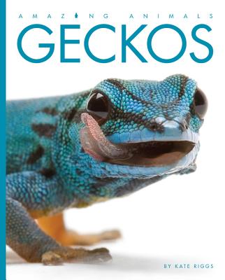 Amazing Animals: Geckos - Riggs, Kate