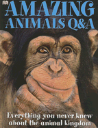 Amazing Animals Q&A