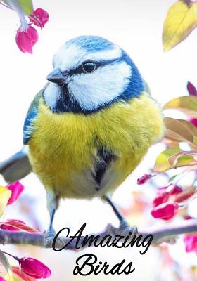 Amazing Birds: Coloring Book for Adults. - Jones, Samantha Green