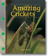 Amazing Crickets (Inquizitive, 2)