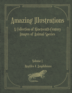 Amazing Illustrations: A Collection of Nineteenth-Century Images of Animal Species. Copyright-free illustrations.