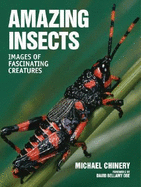 Amazing Insects: Images of Fascinating Creatures