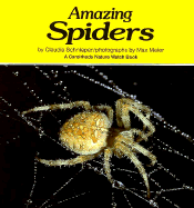 Amazing Spiders
