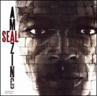 Amazing - Seal