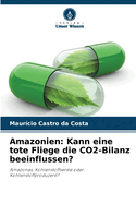 Amazonien: Kann eine tote Fliege die CO2-Bilanz beeinflussen?