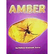 Amber: Ind Bk Lv3 Chp3 on Level