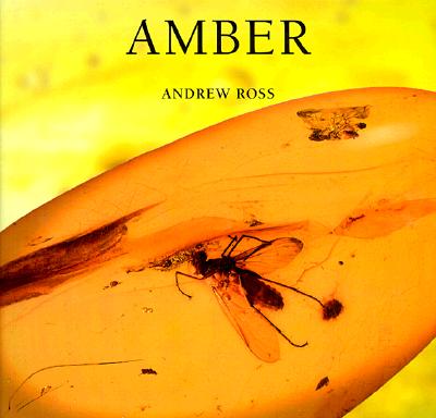 Amber - Ross, Andrew, Prof.