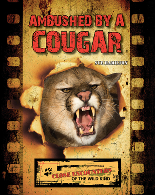 Ambushed by a Cougar - Hamilton, Sue L