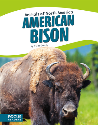 American Bison - Omoth, Tyler