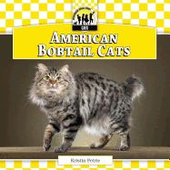 American Bobtail Cats