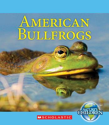 American Bullfrogs - Marsico, Katie