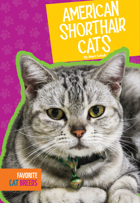 American Shorthair Cats - Schuh, Mari C