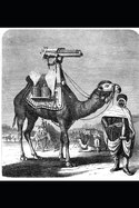 American Terrorist Manifesto