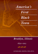 America's First Black Town: Brooklyn, Illinois, 1830-1915