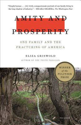 Amity and Prosperity: One Family and the Fracturing of America - Griswold, Eliza