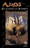 Amos: An American Badger