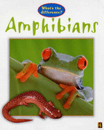 Amphibians