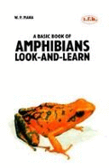 Amphibians