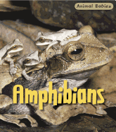 Amphibians