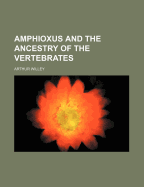 Amphioxus and the Ancestry of the Vertebrates