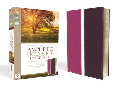 Amplified Bible-Am-Large Print: Captures the Full Meaning Behind the Original Greek and Hebrew - Zondervan