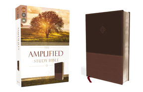 Amplified Study Bible, Imitation Leather, Brown