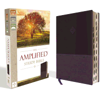 Amplified Study Bible, Imitation Leather, Purple, Indexed