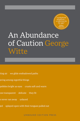 An Abundance of Caution - Witte, George