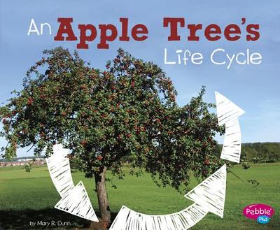 An Apple Tree's Life Cycle - R. Dunn, Mary