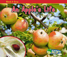 An Apple's Life