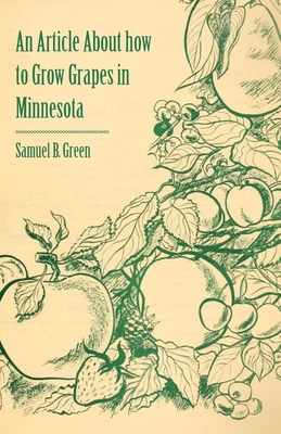 An Article about How to Grow Grapes in Minnesota - Green, Samuel B