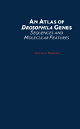 An atlas of Drosophila genes sequences and molecular features