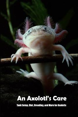 An Axolotl's Care: Tank Setup, Diet, Breeding, and More for Axolotls - Bradley, Iris