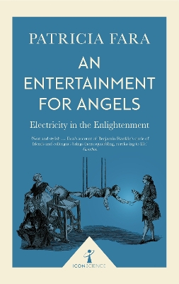 An Entertainment for Angels (Icon Science): Electricity in the Enlightenment - Fara, Patricia