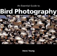 An Essential Guide to Bird Photography